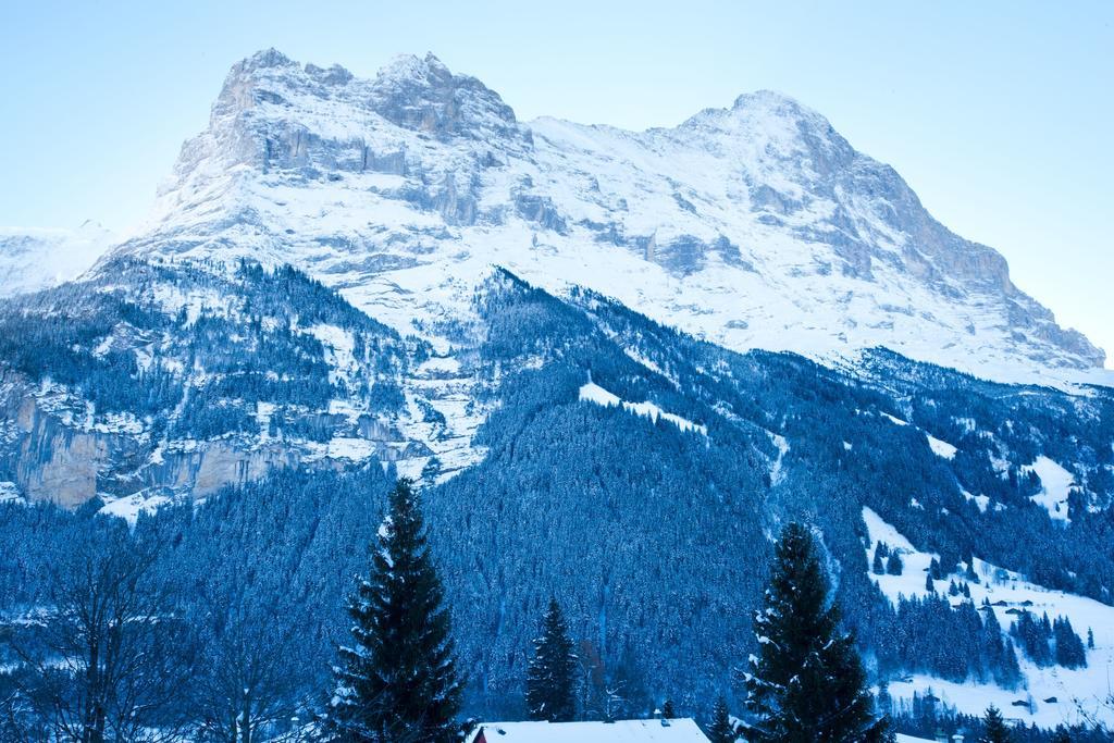 Bernerhof Residence Grindelwald Exterior foto